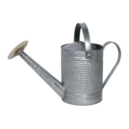 Robert Allen James GAL Galv WTR Can MPT01191